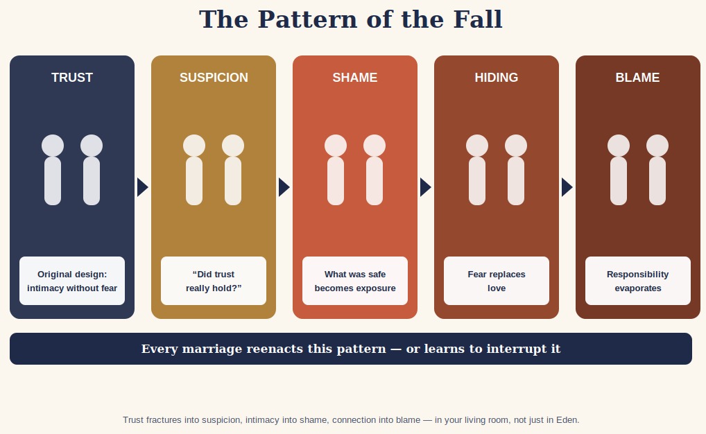 The Pattern of the Fall -- five stages two silhouettes move through: Trust ("Original design: intimacy without fear"), Suspicion ("Did trust really hold?"), Shame ("What was safe becomes exposure"), Hiding ("Fear replaces love"), Blame ("Responsibility evaporates"). Footer: "Every marriage reenacts this pattern -- or learns to interrupt it."