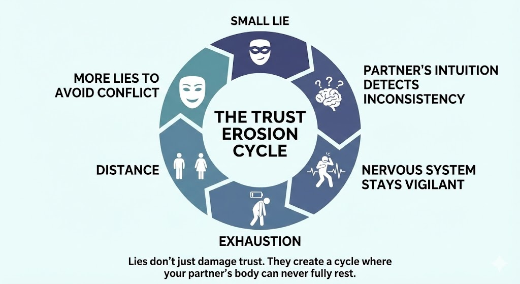The Trust Erosion Cycle: small lie, partner's intuition detects inconsistency, nervous system stays vigilant, distance, more lies to avoid conflict, exhaustion. Lies don't just damage trust -- they create a cycle where your partner's body can never fully rest.
